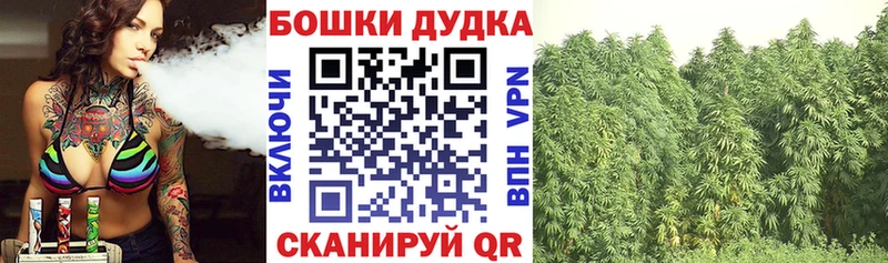 Названия наркотиков Лодейное Поле Каннабис АМФЕТАМИН ГАШ Меф мяу мяу