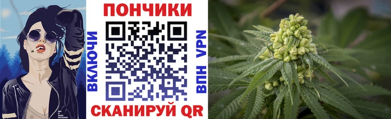 KRAKEN ссылки  Лодейное Поле  Канабис OG Kush 